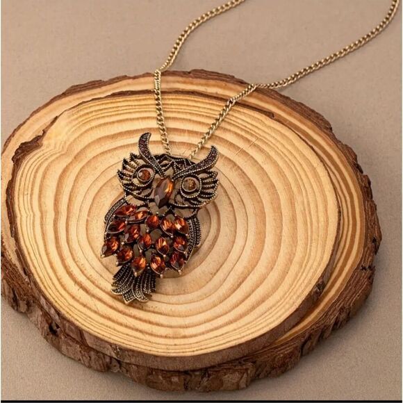 Vintage Style Boho Owl Necklace Long Chain Amber Rhinestone Pendant Jewelry Gift - Picture 2 of 12